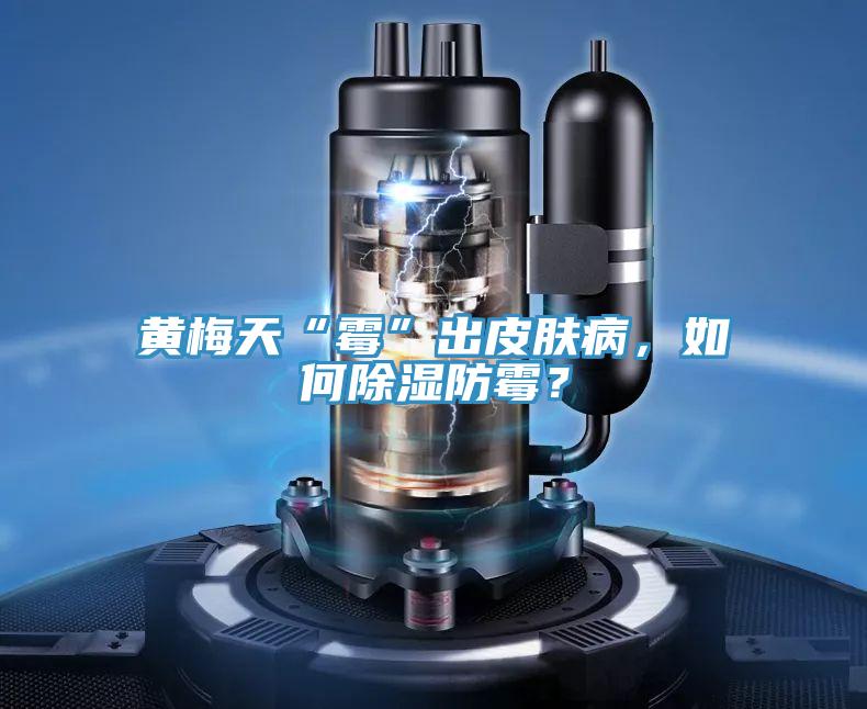 黃梅天“霉”出皮膚病，如何除濕防霉？