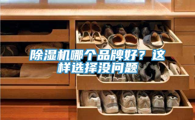 除濕機(jī)哪個(gè)品牌好？這樣選擇沒(méi)問(wèn)題