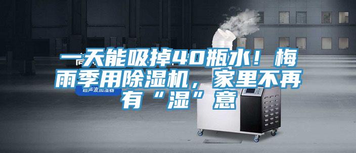 一天能吸掉40瓶水！梅雨季用除濕機(jī)，家里不再有“濕”意