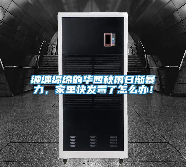纏纏綿綿的華西秋雨日漸暴力，家里快發(fā)霉了怎么辦！