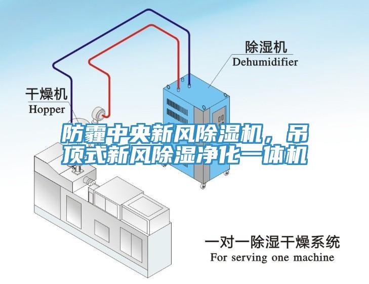 防霾中央新風(fēng)除濕機(jī)，吊頂式新風(fēng)除濕凈化一體機(jī)