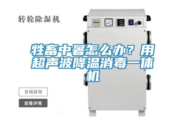 牲畜中暑怎么辦？用超聲波降溫消毒一體機