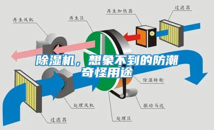 除濕機(jī)，想象不到的防潮奇怪用途