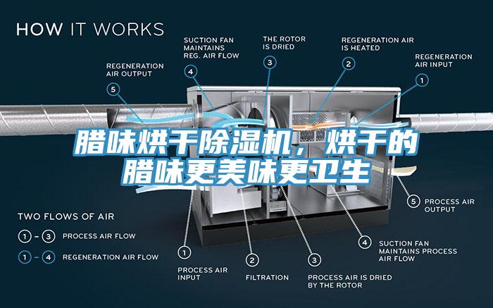 臘味烘干除濕機(jī)，烘干的臘味更美味更衛(wèi)生