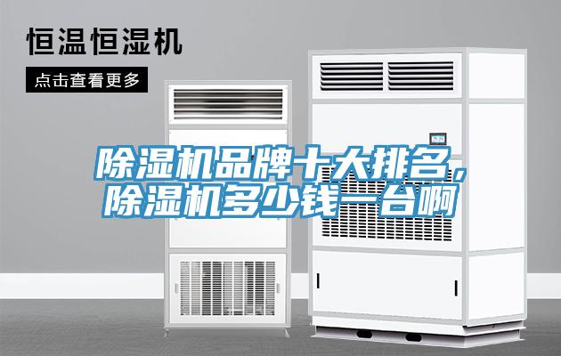 除濕機(jī)品牌十大排名，除濕機(jī)多少錢一臺(tái)啊