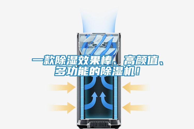 一款除濕效果棒、高顏值、多功能的除濕機(jī)！