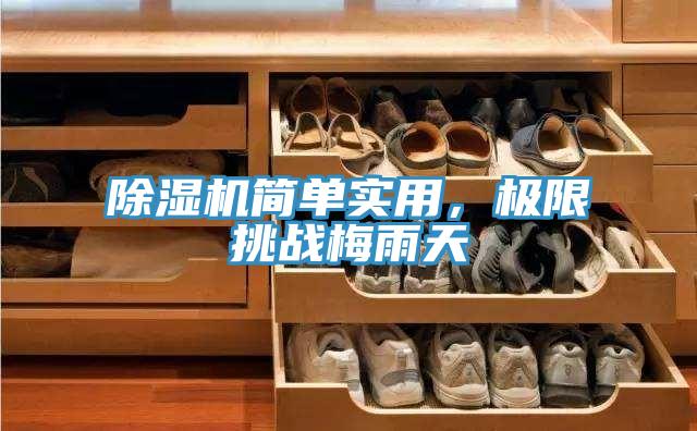 除濕機簡單實用，極限挑戰(zhàn)梅雨天
