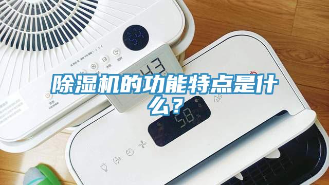 除濕機(jī)的功能特點(diǎn)是什么？