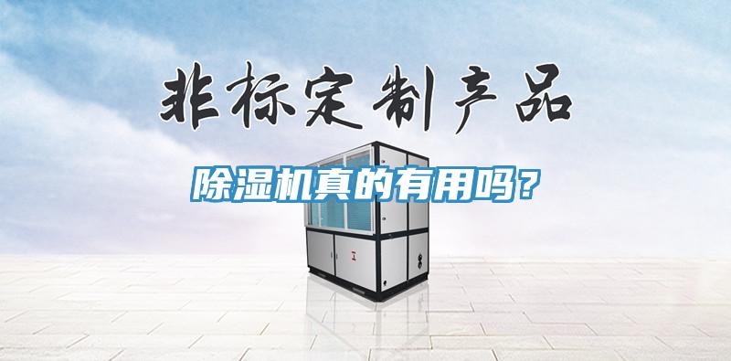 除濕機真的有用嗎？