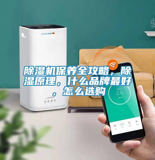 除濕機保養(yǎng)全攻略，除濕原理，什么品牌最好，怎么選購