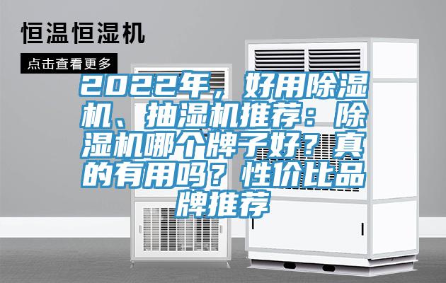 2022年，好用除濕機、抽濕機推薦：除濕機哪個牌子好？真的有用嗎？性價比品牌推薦