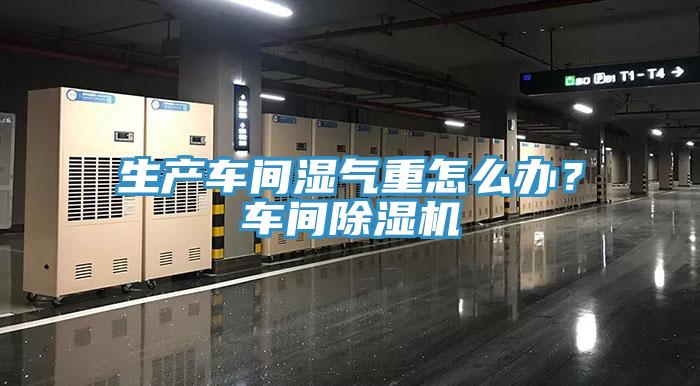 生產(chǎn)車間濕氣重怎么辦？車間除濕機(jī)