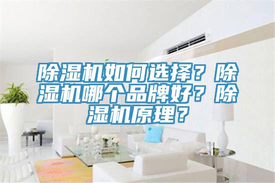 除濕機如何選擇？除濕機哪個品牌好？除濕機原理？