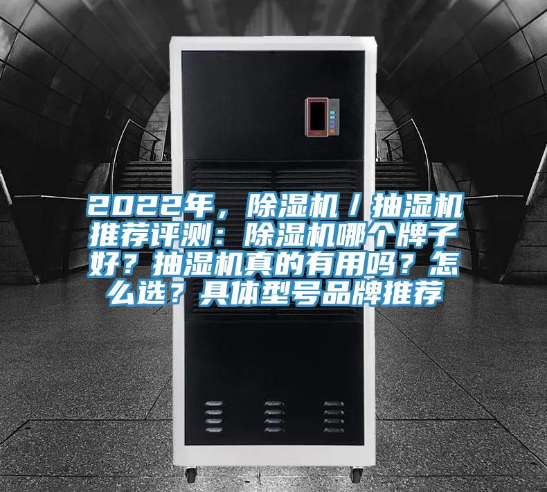 2022年，除濕機／抽濕機推薦評測：除濕機哪個牌子好？抽濕機真的有用嗎？怎么選？具體型號品牌推薦