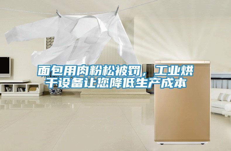 面包用肉粉松被罰，工業(yè)烘干設(shè)備讓您降低生產(chǎn)成本