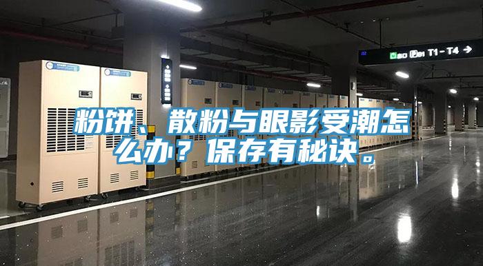 粉餅、散粉與眼影受潮怎么辦？保存有秘訣。