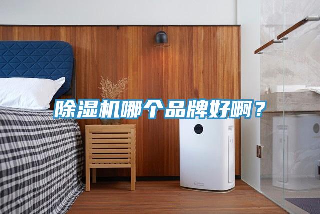 除濕機(jī)哪個(gè)品牌好?。?></div>
								<div   id=