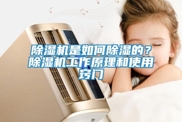 除濕機(jī)是如何除濕的？除濕機(jī)工作原理和使用竅門