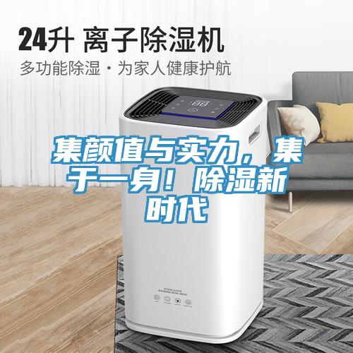 集顏值與實(shí)力，集于一身！除濕新時(shí)代