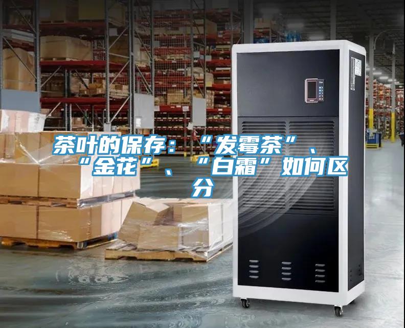 茶葉的保存：“發(fā)霉茶”、“金花”、“白霜”如何區(qū)分