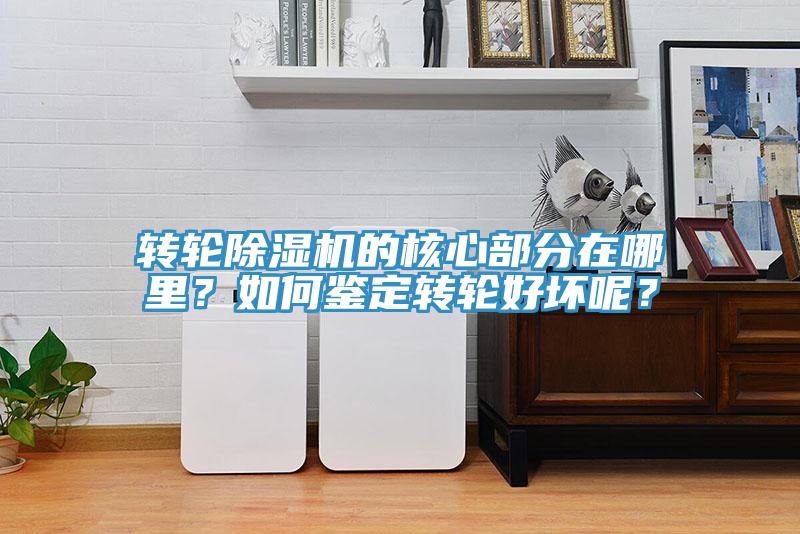 轉(zhuǎn)輪除濕機(jī)的核心部分在哪里？如何鑒定轉(zhuǎn)輪好壞呢？