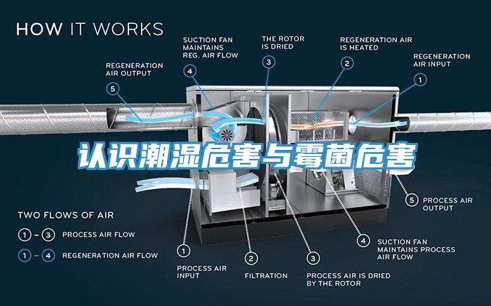 認(rèn)識潮濕危害與霉菌危害