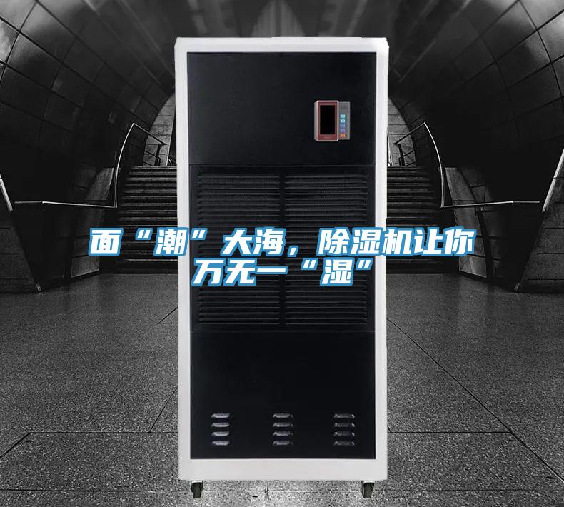 面“潮”大海，除濕機(jī)讓你萬無一“濕”