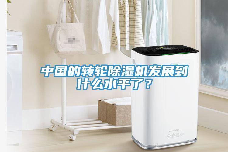 中國的轉(zhuǎn)輪除濕機(jī)發(fā)展到什么水平了？