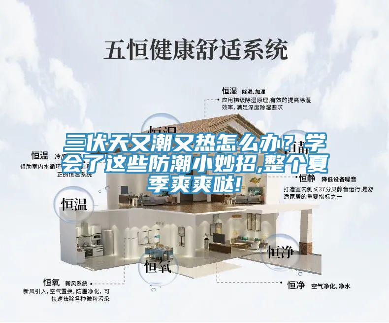 三伏天又潮又熱怎么辦？學(xué)會了這些防潮小妙招,整個夏季爽爽噠!
