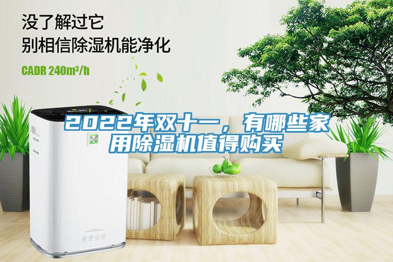 2022年雙十一，有哪些家用除濕機值得購買
