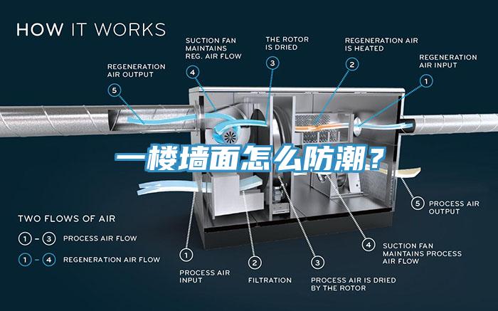 一樓墻面怎么防潮？