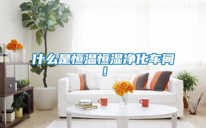 什么是恒溫恒濕凈化車間！
