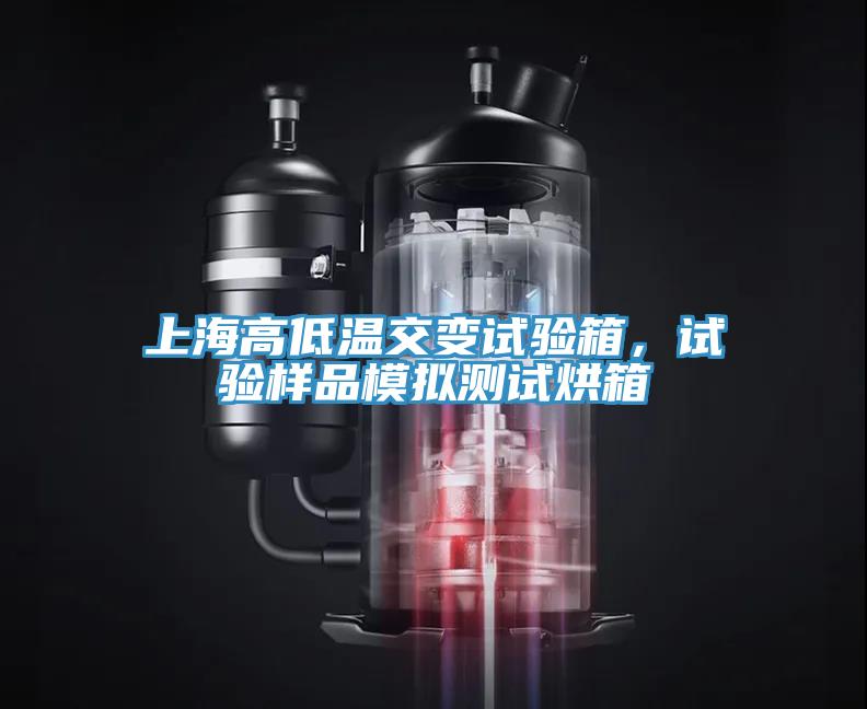 上海高低溫交變?cè)囼?yàn)箱，試驗(yàn)樣品模擬測(cè)試烘箱