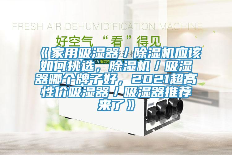 《家用吸濕器／除濕機(jī)應(yīng)該如何挑選，除濕機(jī)／吸濕器哪個(gè)牌子好，2021超高性?xún)r(jià)吸濕器／吸濕器推薦來(lái)了》