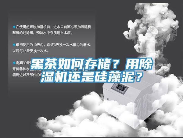 黑茶如何存儲？用除濕機(jī)還是硅藻泥？