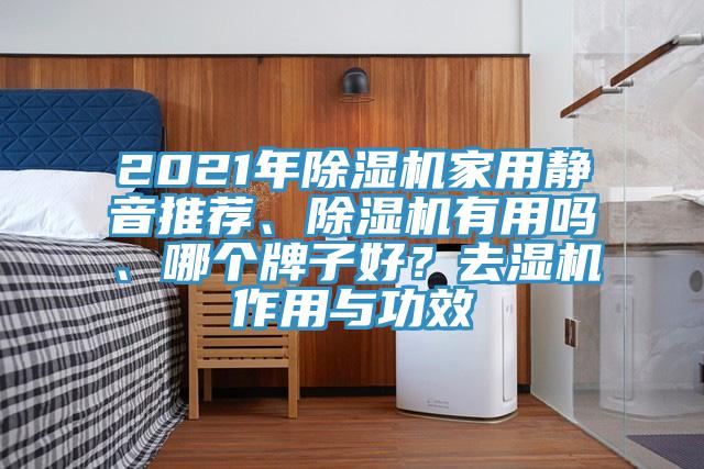 2021年除濕機(jī)家用靜音推薦、除濕機(jī)有用嗎、哪個(gè)牌子好？去濕機(jī)作用與功效