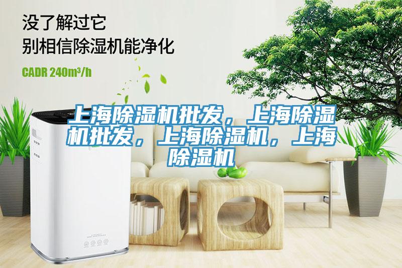 上海除濕機批發(fā)，上海除濕機批發(fā)，上海除濕機，上海除濕機