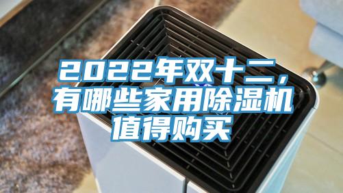 2022年雙十二，有哪些家用除濕機值得購買