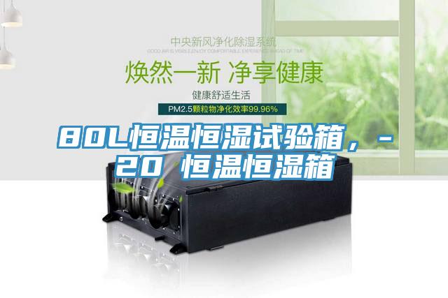 80L恒溫恒濕試驗(yàn)箱，-20℃恒溫恒濕箱