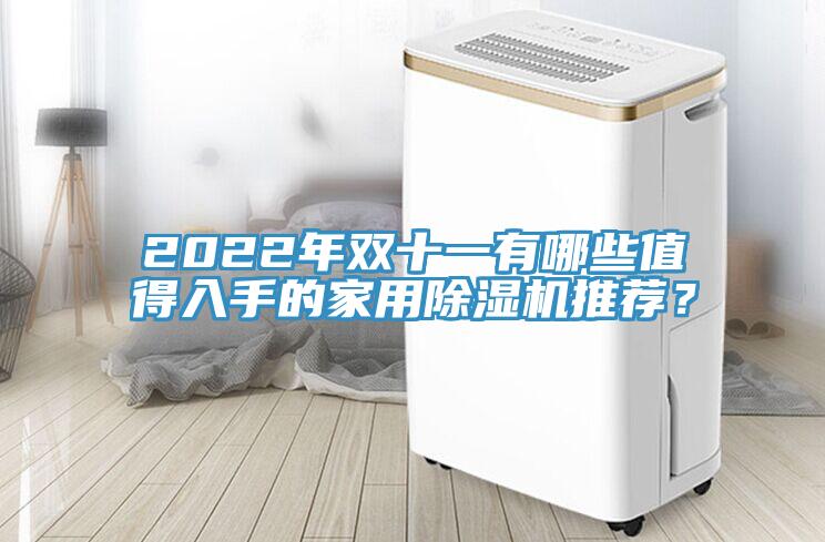 2022年雙十一有哪些值得入手的家用除濕機推薦？