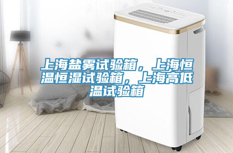 上海鹽霧試驗箱，上海恒溫恒濕試驗箱，上海高低溫試驗箱