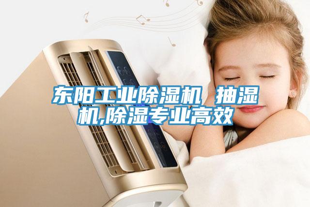 東陽(yáng)工業(yè)除濕機(jī) 抽濕機(jī),除濕專(zhuān)業(yè)高效