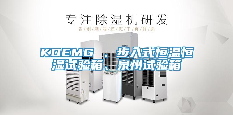 KOEMG 、步入式恒溫恒濕試驗箱、泉州試驗箱