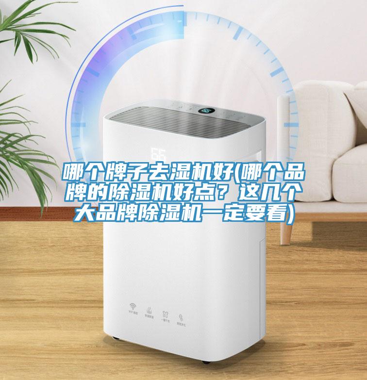 哪個牌子去濕機好(哪個品牌的除濕機好點？這幾個大品牌除濕機一定要看)