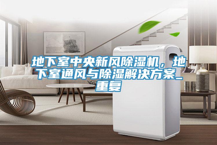 地下室中央新風(fēng)除濕機(jī)，地下室通風(fēng)與除濕解決方案_重復(fù)