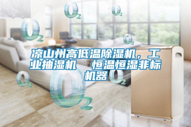 涼山州高低溫除濕機，工業(yè)抽濕機  恒溫恒濕非標機器