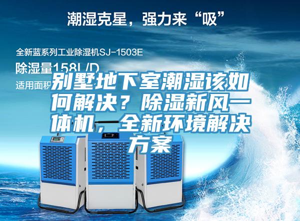 別墅地下室潮濕該如何解決？除濕新風(fēng)一體機(jī)，全新環(huán)境解決方案