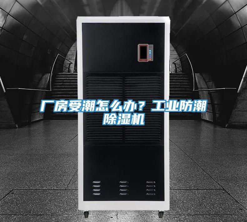 廠房受潮怎么辦？工業(yè)防潮除濕機