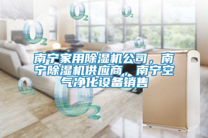 南寧家用除濕機(jī)公司，南寧除濕機(jī)供應(yīng)商，南寧空氣凈化設(shè)備銷售