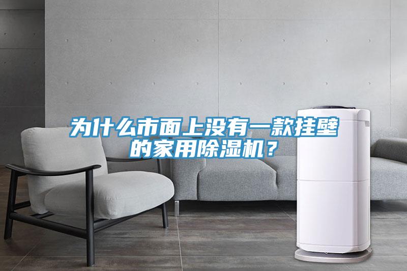 為什么市面上沒有一款掛壁的家用除濕機？